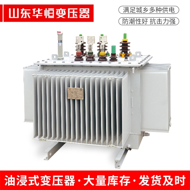 S13-10000/35融水融水融水电力变压器